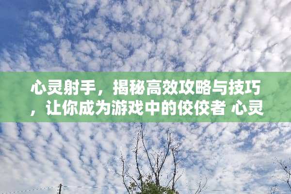 心灵射手，揭秘高效攻略与技巧，让你成为游戏中的佼佼者 心灵射手游戏攻略技巧