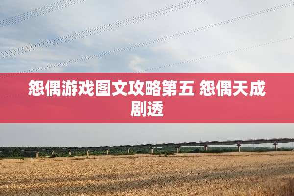怨偶游戏图文攻略第五 怨偶天成剧透
