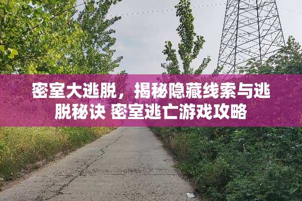 密室大逃脱，揭秘隐藏线索与逃脱秘诀 密室逃亡游戏攻略