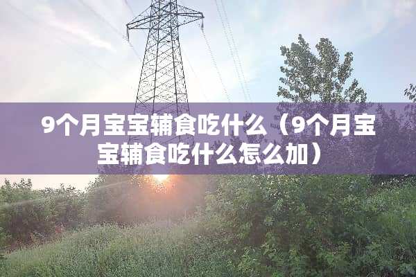 9个月宝宝辅食吃什么（9个月宝宝辅食吃什么怎么加）