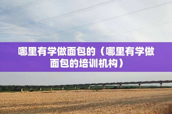 哪里有学做面包的（哪里有学做面包的培训机构）