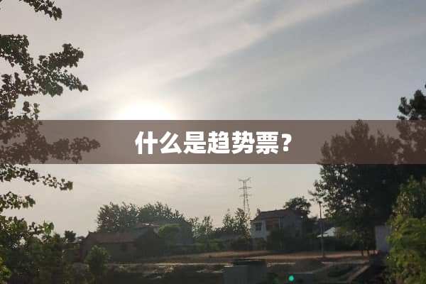 什么是趋势票？