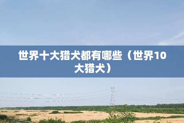 世界十大猎犬都有哪些（世界10大猎犬）