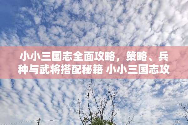 小小三国志全面攻略，策略、兵种与武将搭配秘籍 小小三国志攻略