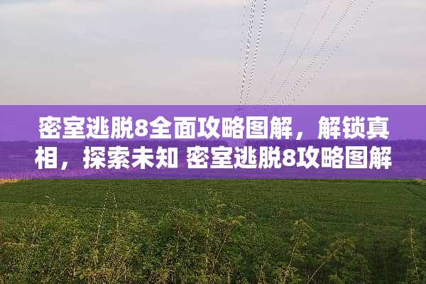 密室逃脱8全面攻略图解，解锁**，探索未知 密室逃脱8攻略图解