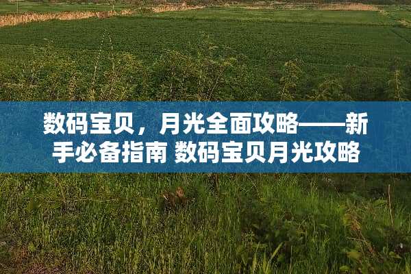 数码宝贝，月光全面攻略——新手必备指南 数码宝贝月光攻略