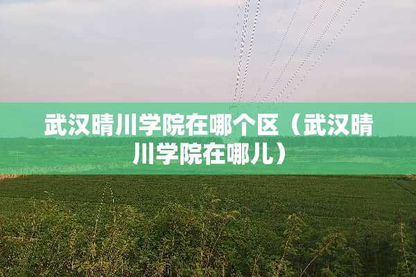 武汉晴川学院在哪个区（武汉晴川学院在哪儿）