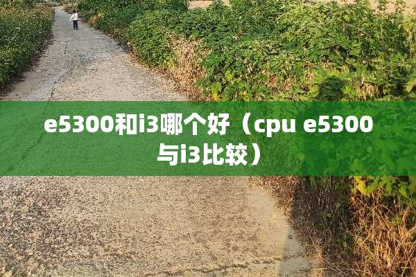 e5300和i3哪个好（cpu e5300与i3比较）