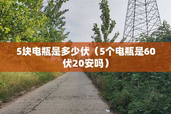 5块电瓶是多少伏（5个电瓶是60伏20安吗）