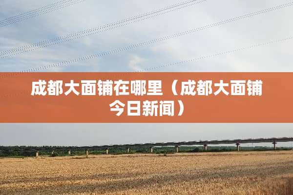 成都大面铺在哪里（成都大面铺今日新闻）