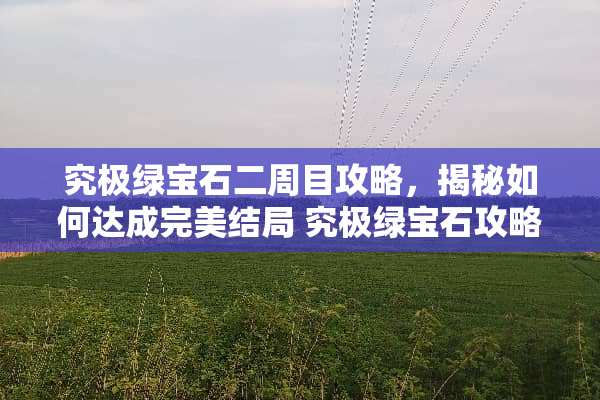 究极绿宝石二周目攻略，揭秘如何达成完美结局 究极绿宝石攻略二周目