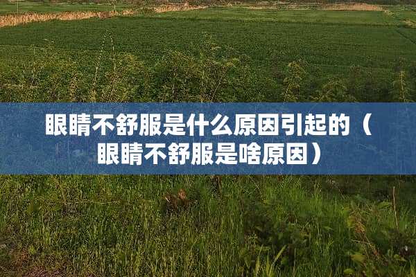 眼睛不舒服是什么原因引起的（眼睛不舒服是啥原因）