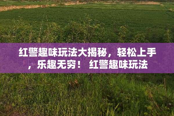 红警趣味玩法大揭秘，轻松上手，乐趣无穷！ 红警趣味玩法