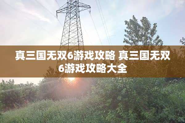 真三国无双6游戏攻略 真三国无双6游戏攻略大全