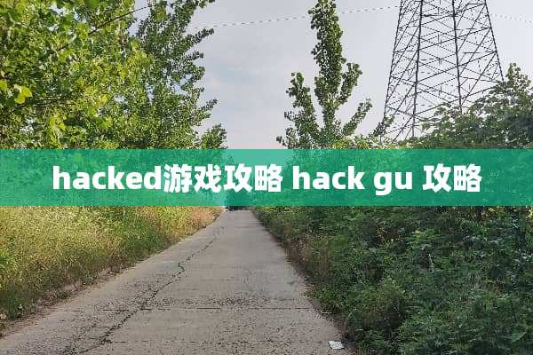 hacked游戏攻略 hack gu 攻略