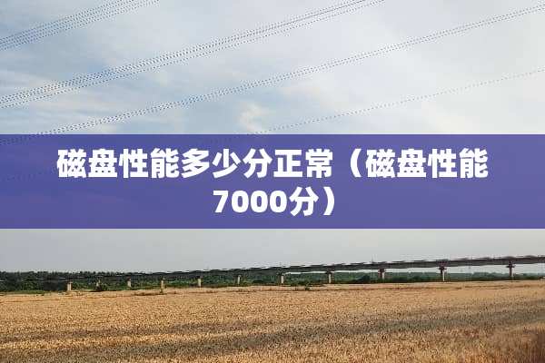 磁盘性能多少分正常（磁盘性能7000分）