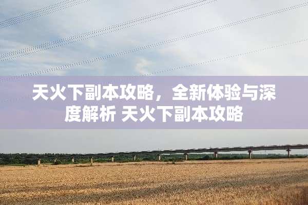 天火下副本攻略，全新体验与深度解析 天火下副本攻略
