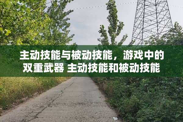 主动技能与被动技能，游戏中的双重** 主动技能和被动技能