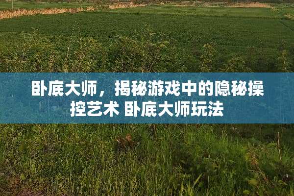 **大师，揭秘游戏中的隐秘操控艺术**大师玩法