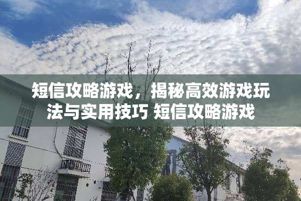 短信攻略游戏，揭秘高效游戏玩法与实用技巧 短信攻略游戏