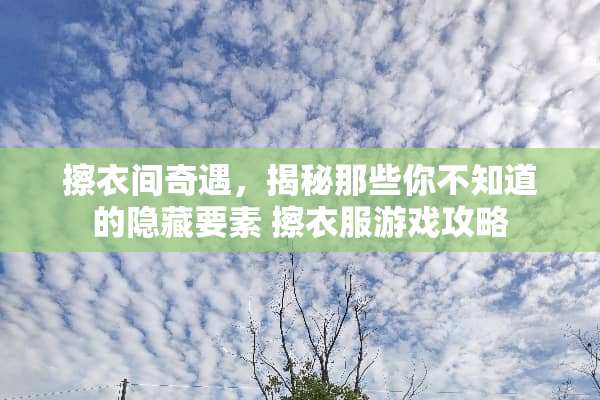 擦衣间奇遇，揭秘那些你不知道的隐藏要素 擦衣服游戏攻略