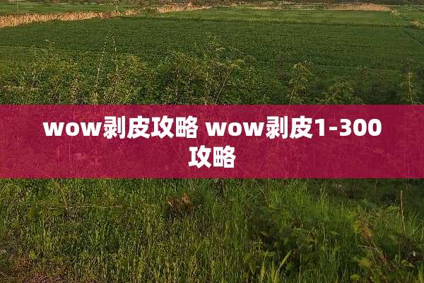 wow剥皮攻略 wow剥皮1-300攻略