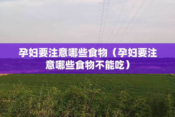 孕妇要注意哪些食物（孕妇要注意哪些食物不能吃）