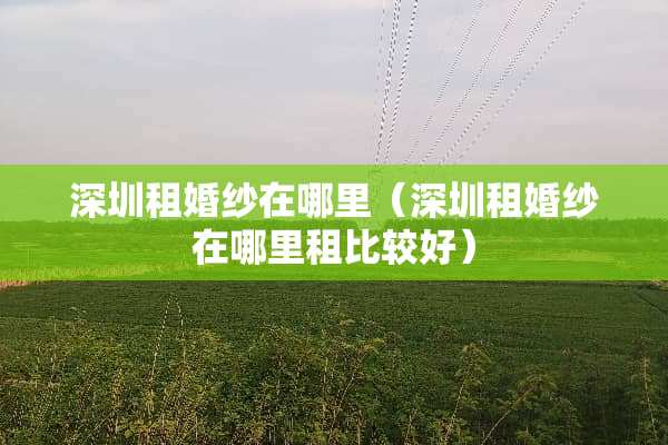 深圳租婚纱在哪里（深圳租婚纱在哪里租比较好）
