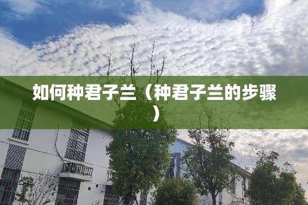 如何种君子兰（种君子兰的步骤）
