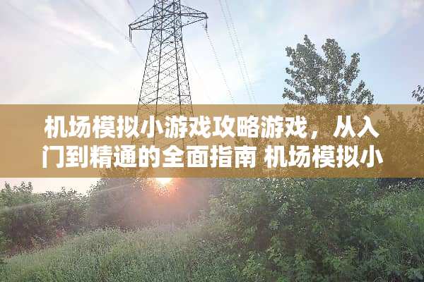 机场模拟小游戏攻略游戏，从入门到精通的全面指南 机场模拟小游戏攻略游戏