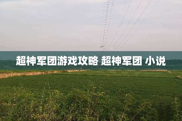 超神军团游戏攻略 超神军团 小说