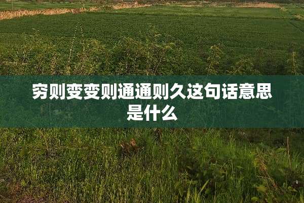 穷则变变则通通则久这句话意思是什么
