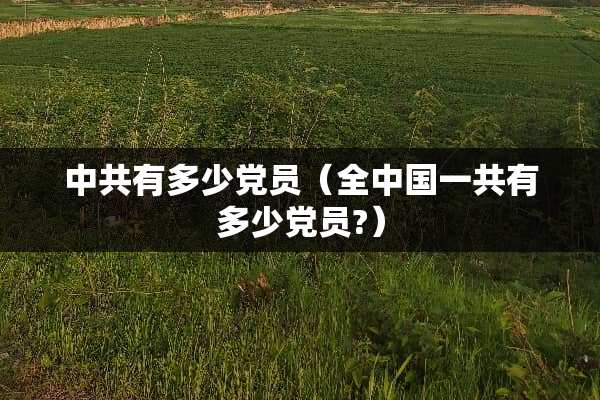 **有多少*员（全中国一共有多少*员?）