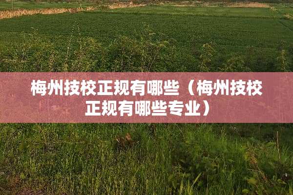 梅州技校正规有哪些（梅州技校正规有哪些专业）