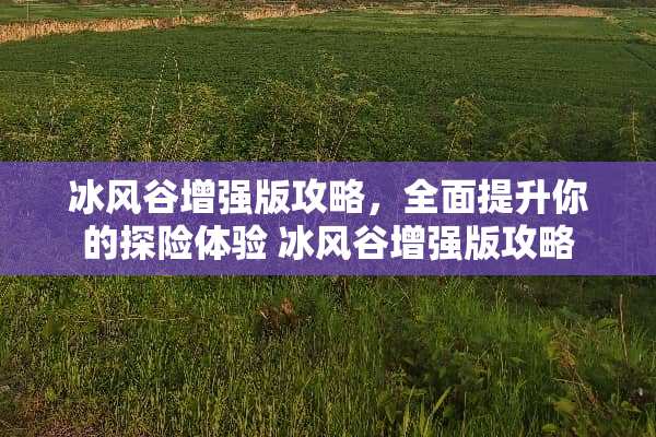 冰风谷增强版攻略，全面提升你的探险体验 冰风谷增强版攻略