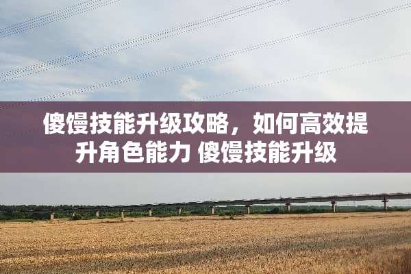 傻馒技能升级攻略，如何高效提升角色能力 傻馒技能升级