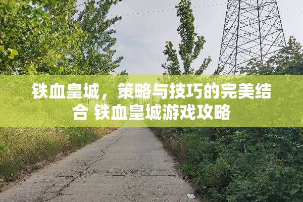 铁血皇城，策略与技巧的完美结合 铁血皇城游戏攻略