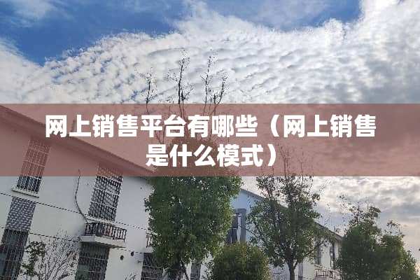 网上销售平台有哪些（网上销售是什么模式）