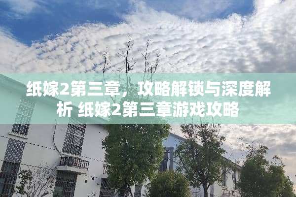 纸嫁2第三章，攻略解锁与深度解析 纸嫁2第三章游戏攻略
