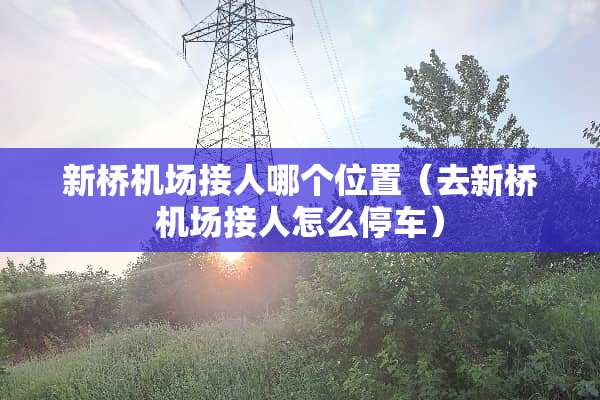 新桥机场接人哪个位置（去新桥机场接人怎么停车）
