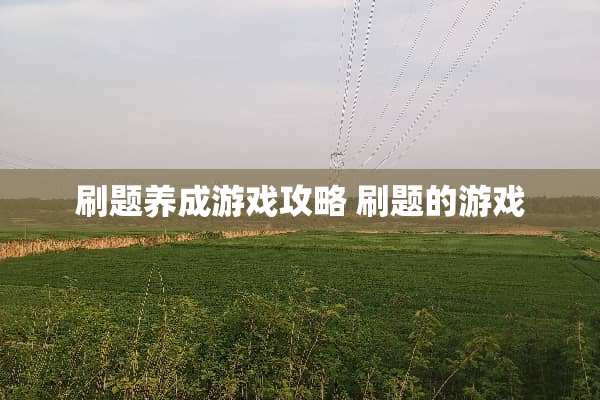 刷题养成游戏攻略 刷题的游戏