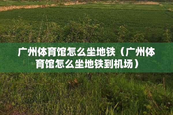 广州体育馆怎么坐地铁（广州体育馆怎么坐地铁到机场）