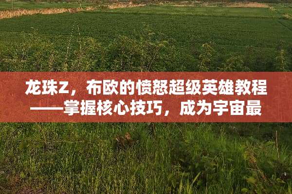 龙珠Z，布欧的愤怒超级英雄教程——掌握核心技巧，成为宇宙最强战士 龙珠z布欧的愤怒攻略
