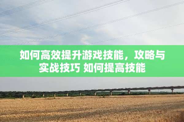 如何高效提升游戏技能，攻略与实战技巧 如何提高技能