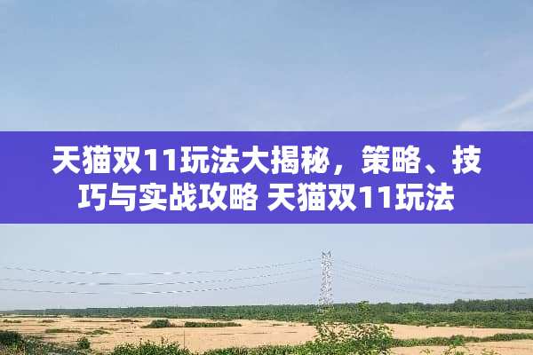 天猫双11玩法大揭秘，策略、技巧与实战攻略 天猫双11玩法