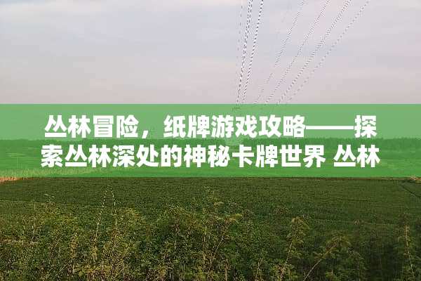 丛林冒险，纸牌游戏攻略——探索丛林深处的神秘卡牌世界 丛林游戏纸牌攻略