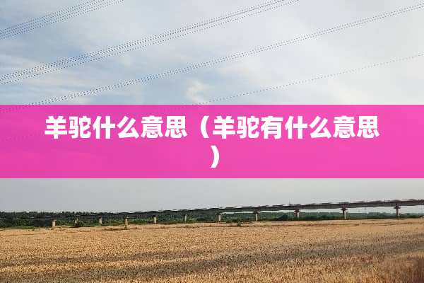 羊驼什么意思（羊驼有什么意思）