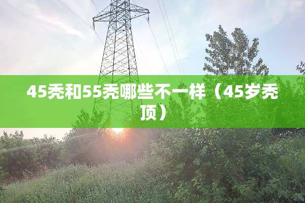 45秃和55秃哪些不一样（45岁秃顶）