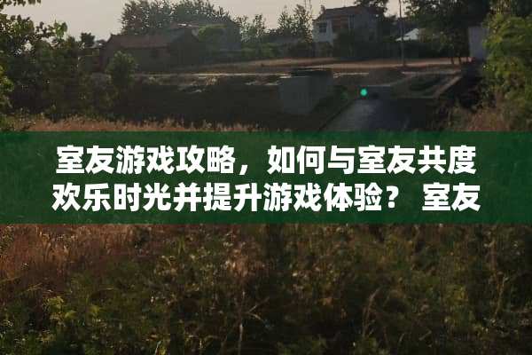 室友游戏攻略，如何与室友共度欢乐时光并提升游戏体验？ 室友游戏攻略