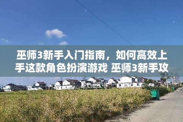 巫师3新手入门指南，如何高效上手这款角色扮演游戏 巫师3新手攻略